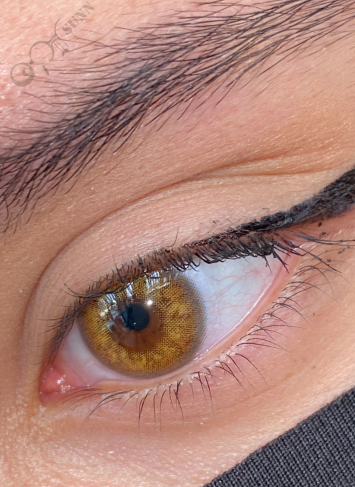 Lausel Lens Terra-rose