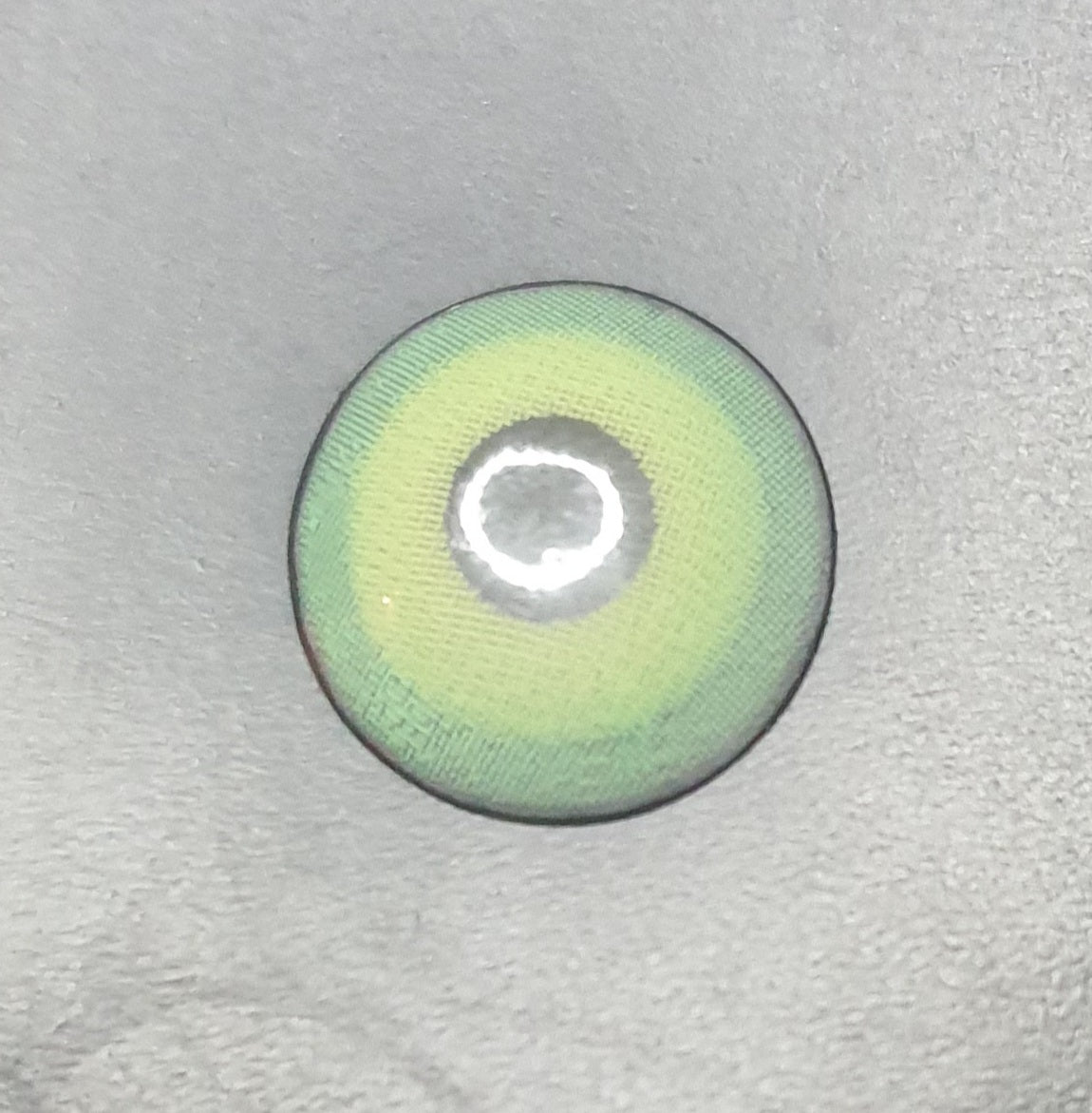 Lausel Lens Cactus
