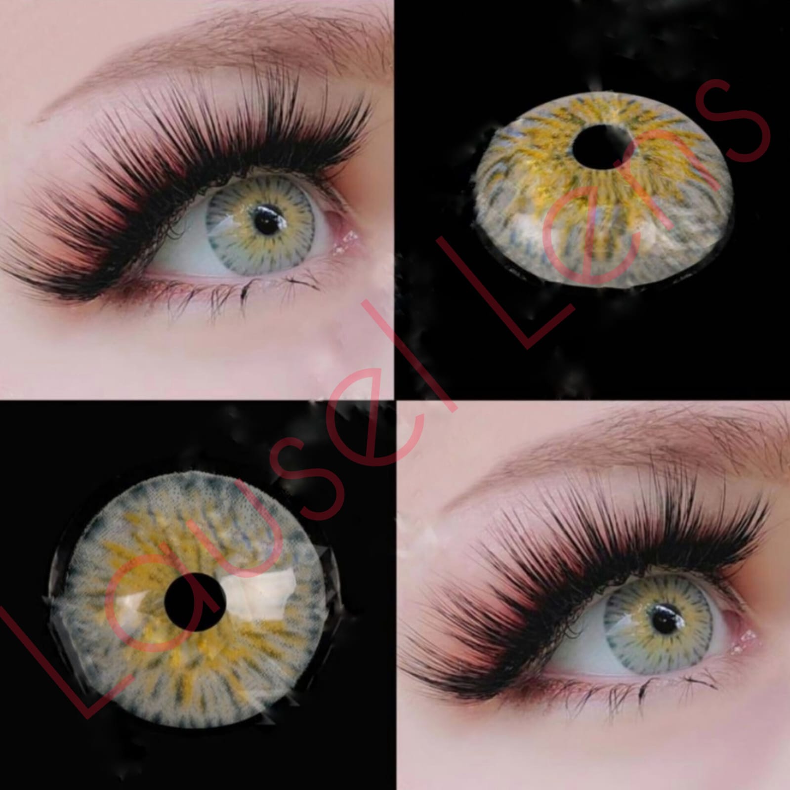 Lausel Lens Venüs
