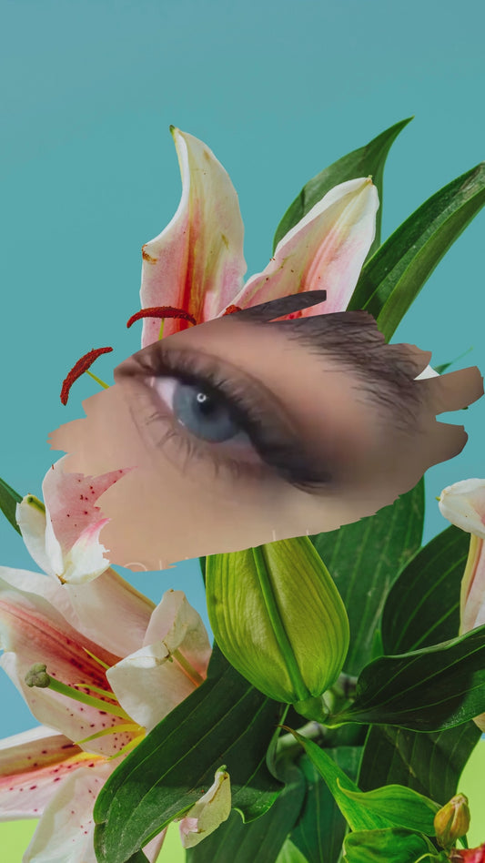 Lausel Lens Persian Blue